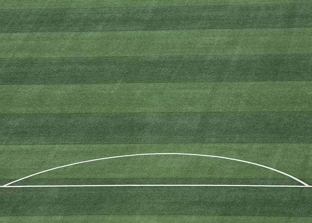 让我们期待